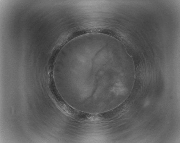 X0000066000742200603061323