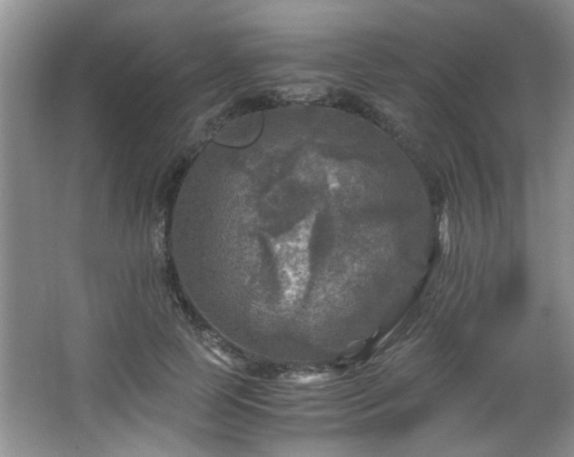 X0000066000745200603061323