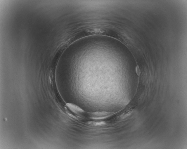 X0000066000747200603061323