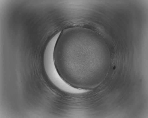 X0000066000748200603061323