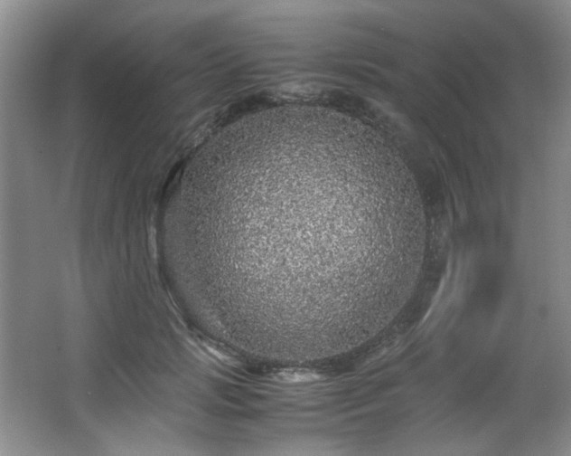 X0000066000749200603061323