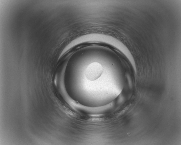 X0000066000750200603061323