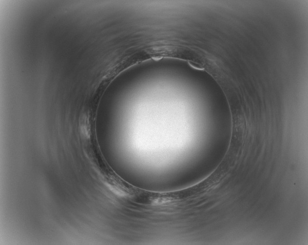 X0000066000751200603061323