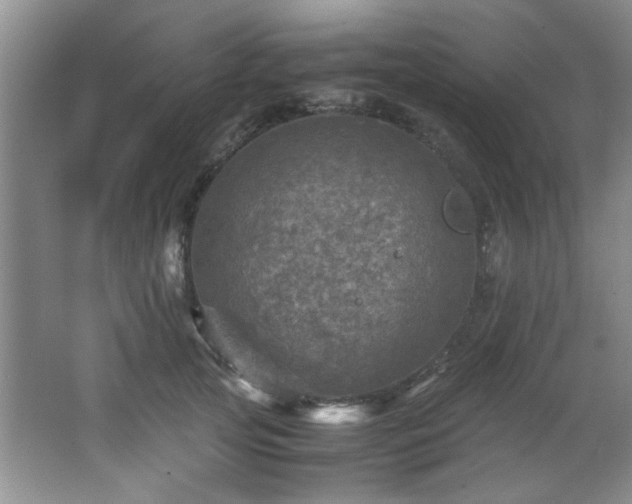 X0000066000753200603061323