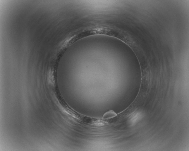 X0000066000754200603061323