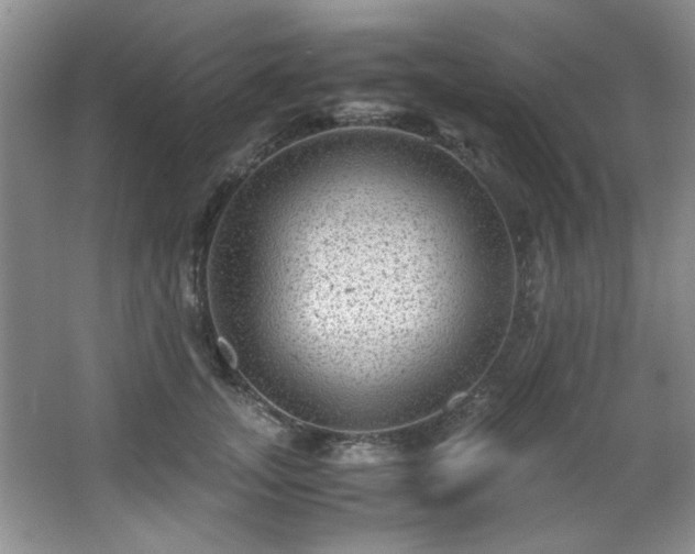 X0000066000755200603061323