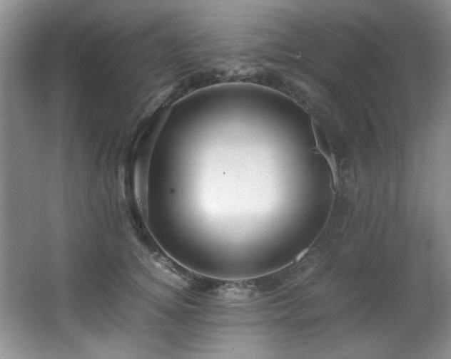 X0000066000756200603061323