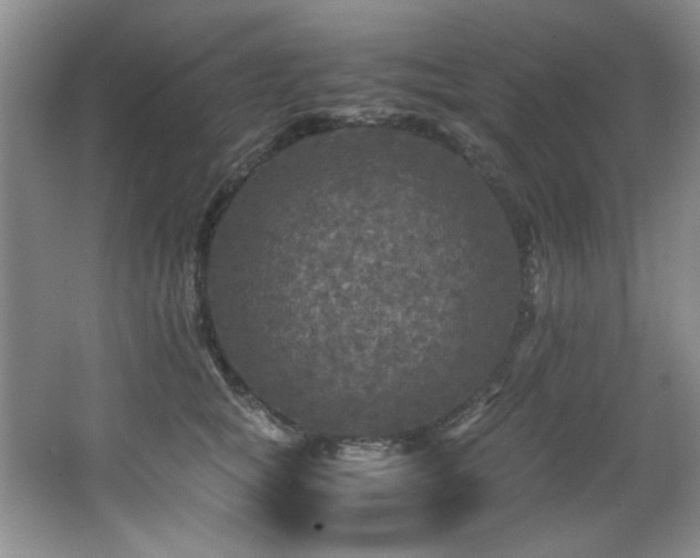 X0000066000757200603061323