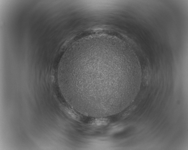 X0000066000758200603061323