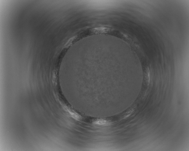 X0000066000759200603061323