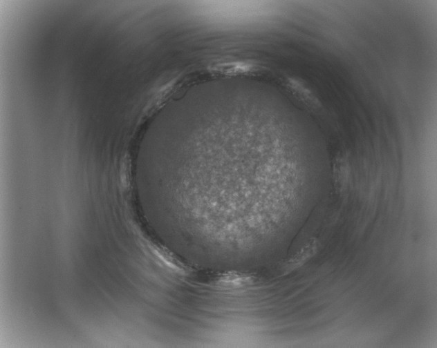 X0000066000760200603061323