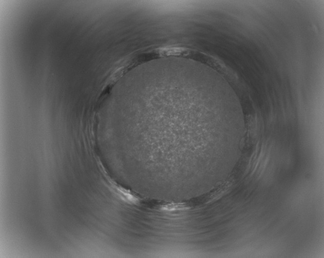 X0000066000761200603061323