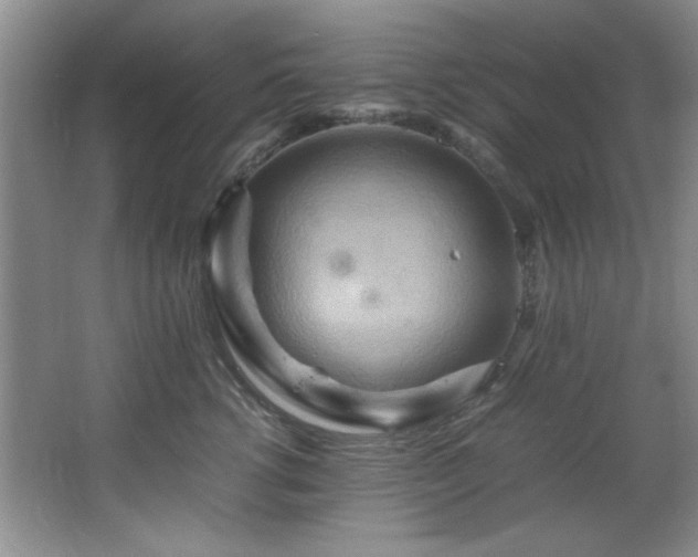 X0000066000762200603061323