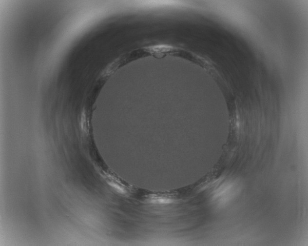 X0000066000763200603061323