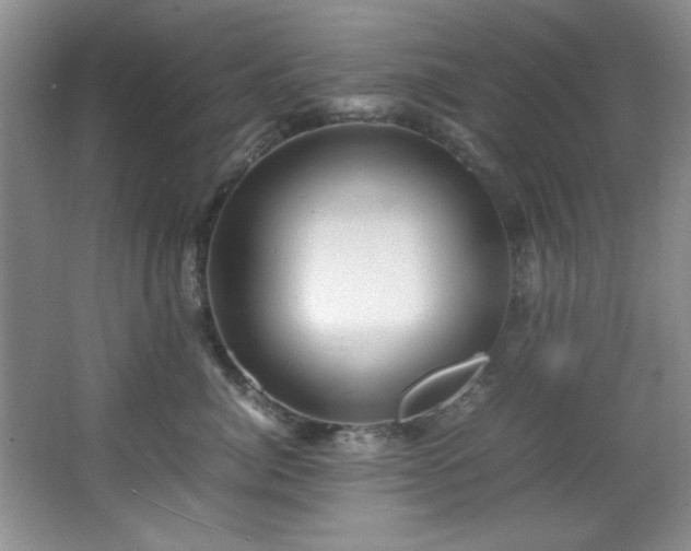 X0000066000764200603061323