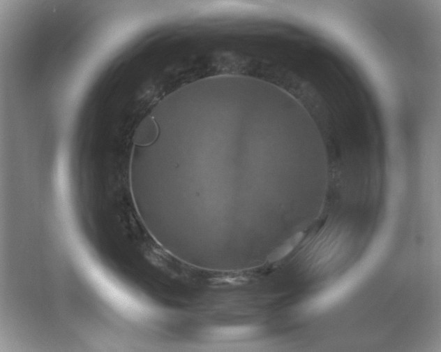 X0000066000765200603061323