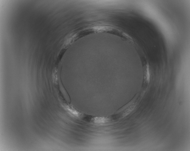 X0000066000766200603061323