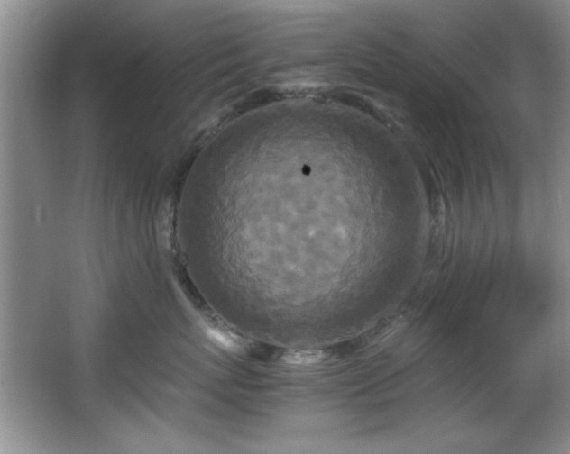 X0000066000767200603061323