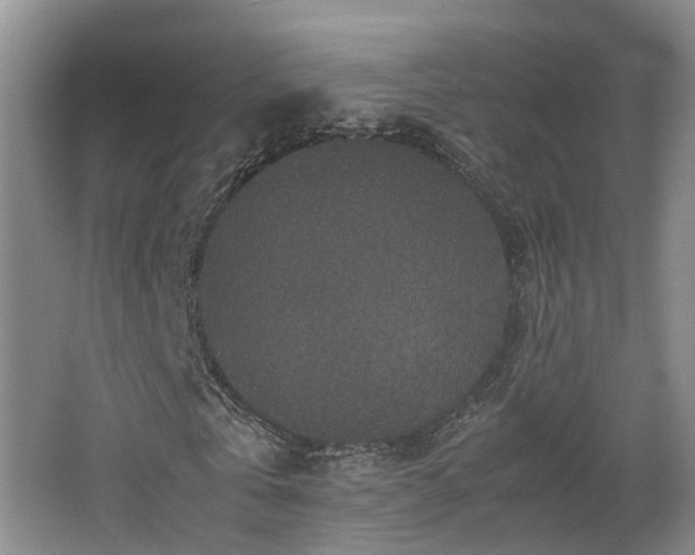 X0000066000769200603061322