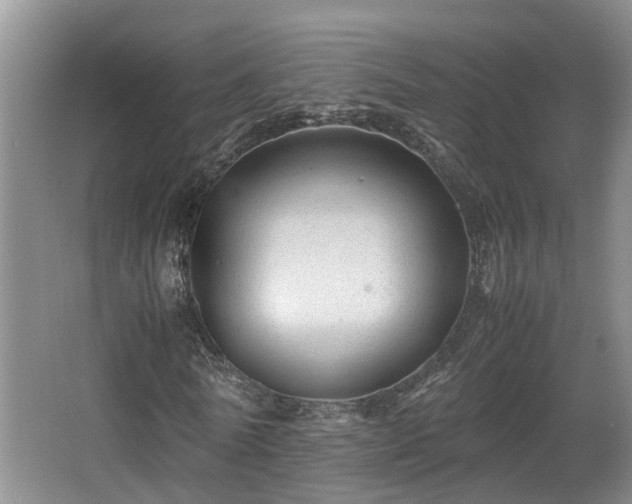 X0000066000770200603061322