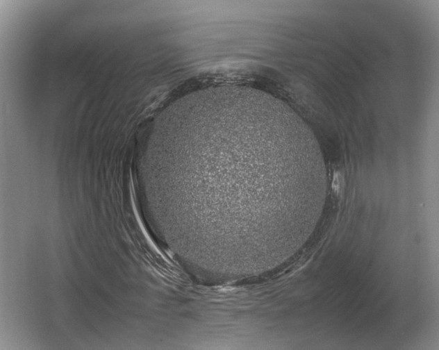 X0000066000771200603061322