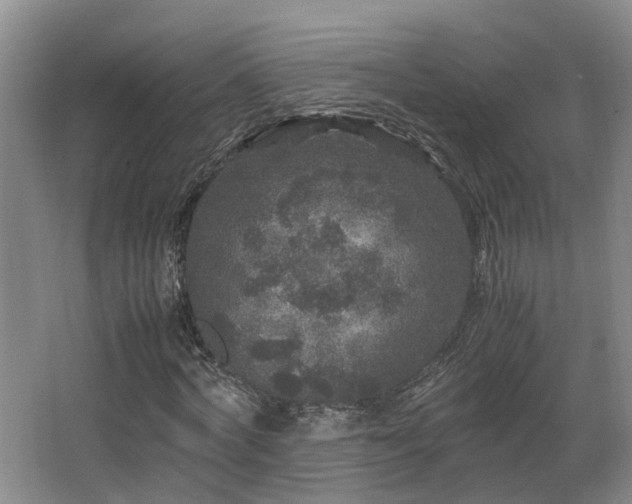 X0000066000772200603061322