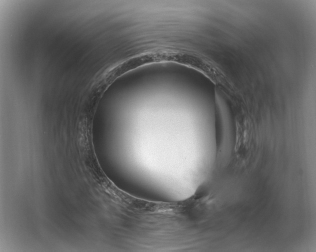 X0000066000773200603061322