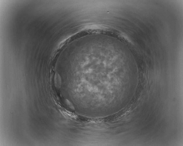 X0000066000775200603061322