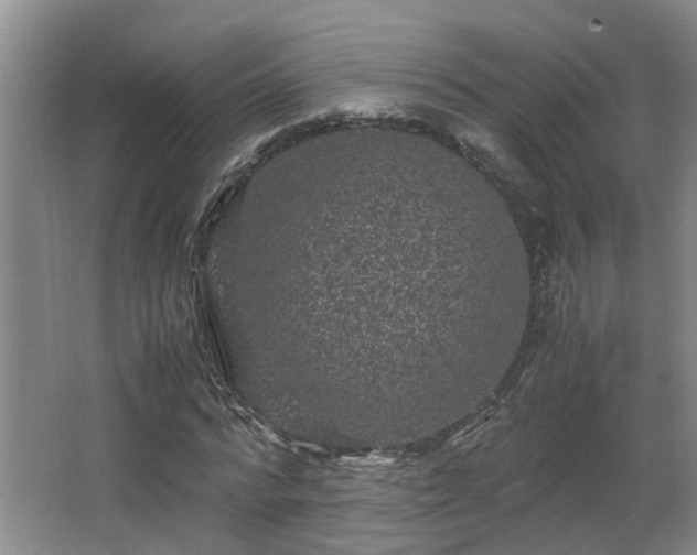 X0000066000776200603061322