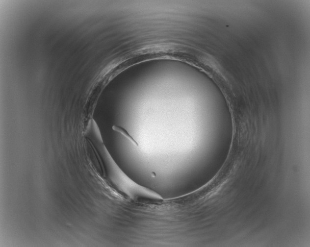 X0000066000778200603061322