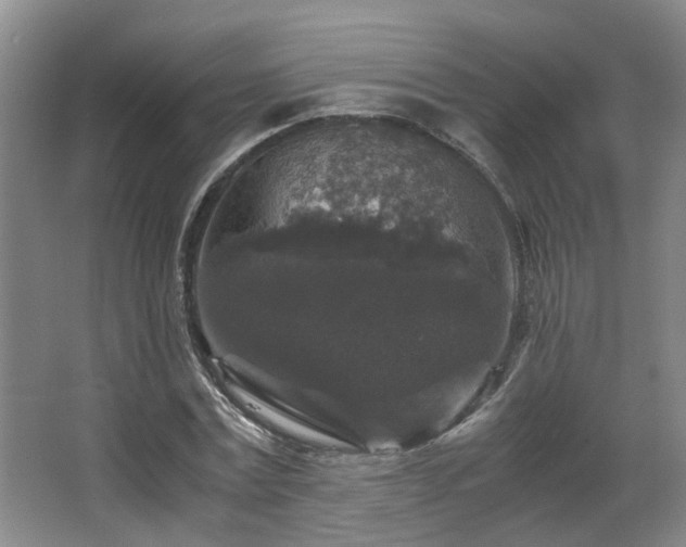 X0000066000779200603061322