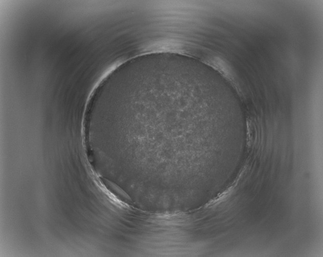 X0000066000780200603061322