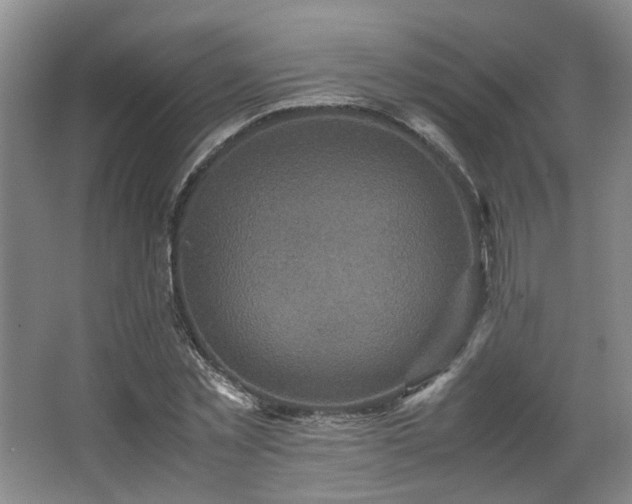 X0000066000781200603061322