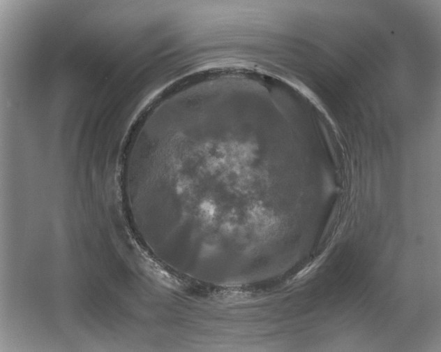 X0000066000783200603061322