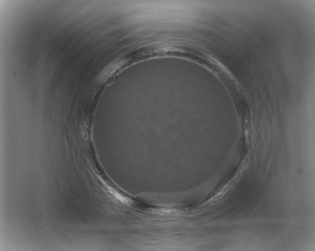 X0000066000785200603061322