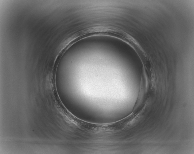 X0000066000786200603061322