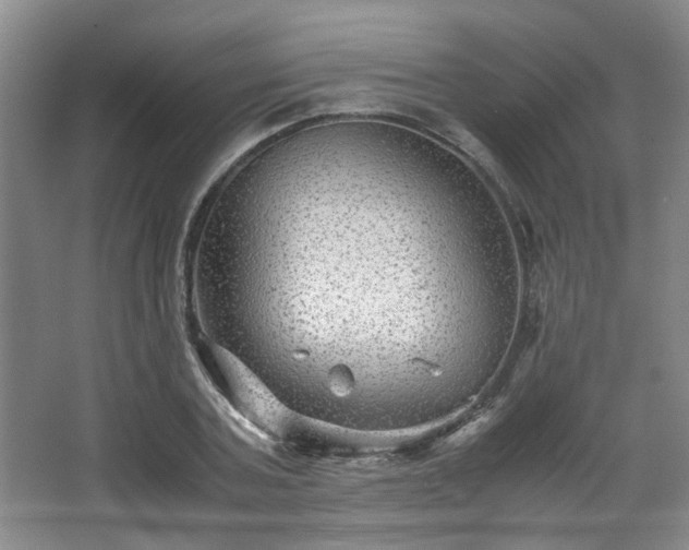 X0000066000787200603061322