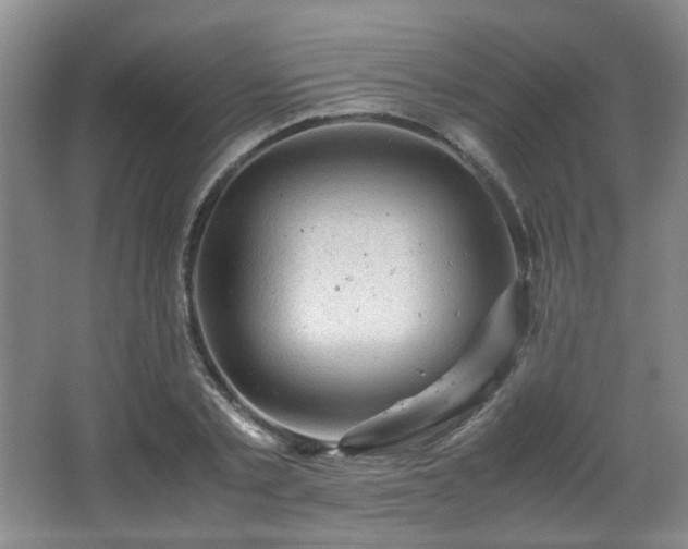 X0000066000789200603061322