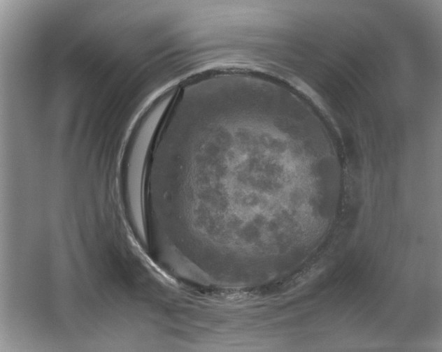 X0000066000791200603061322