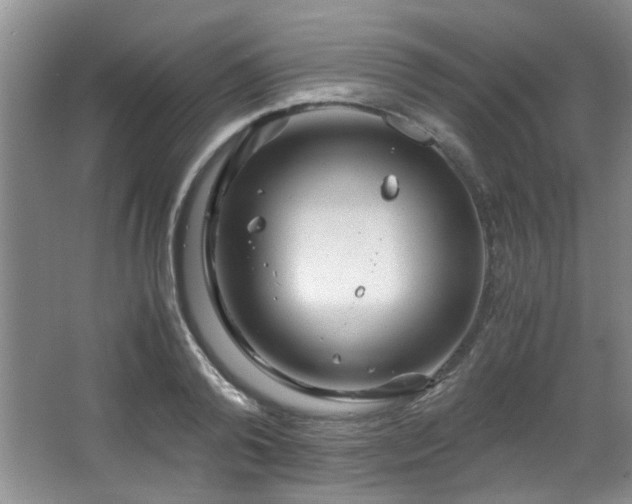 X0000066000792200603061322