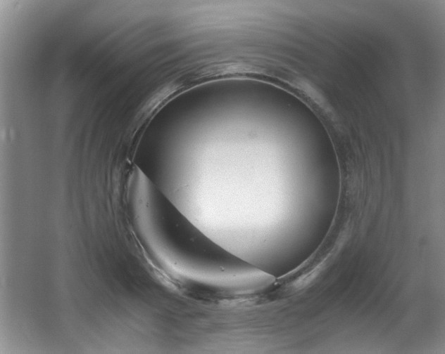 X0000066000793200603061322