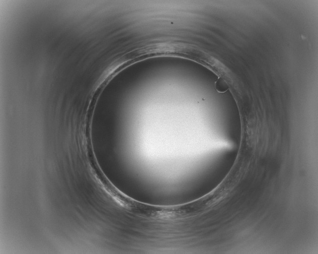 X0000066000794200603061322