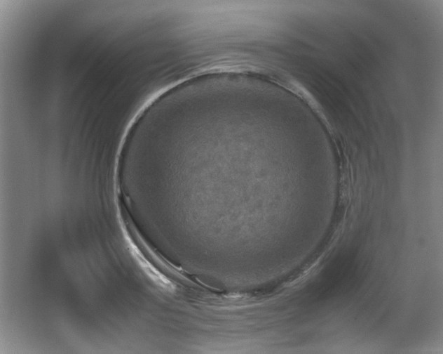 X0000066000795200603061322