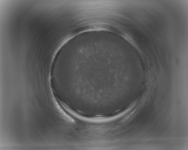 X0000066000797200603061322