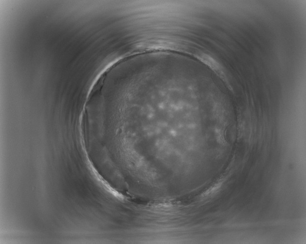 X0000066000798200603061322