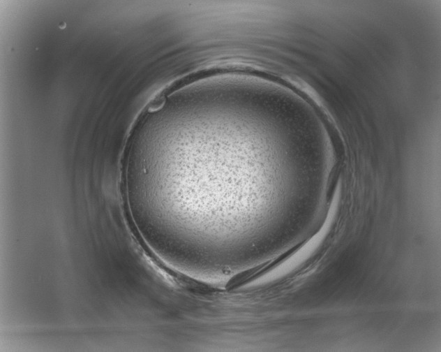 X0000066000799200603061322