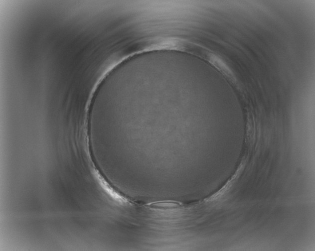 X0000066000800200603061322