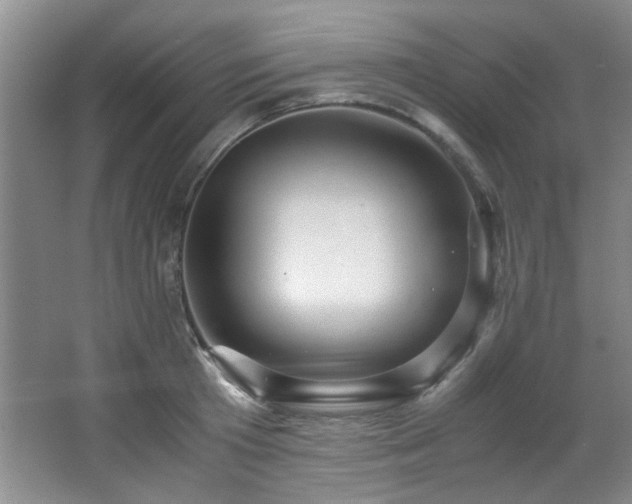 X0000066000801200603061322