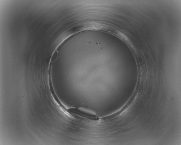 X0000066000802200603061322