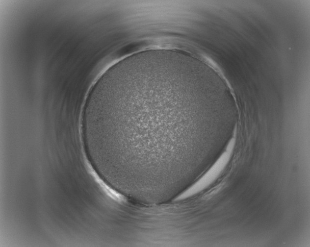 X0000066000803200603061322